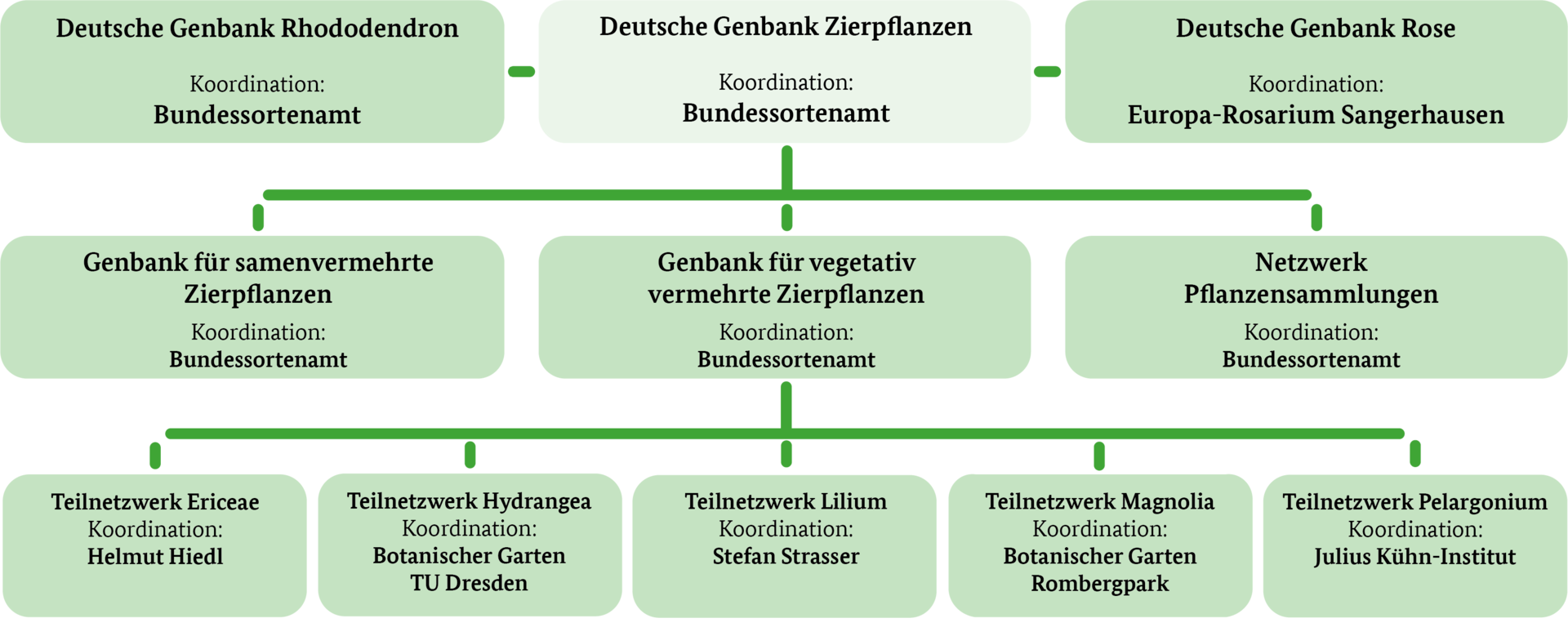 Organigramm DGZ
