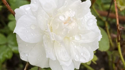 Slider Bild 12 Vorschau