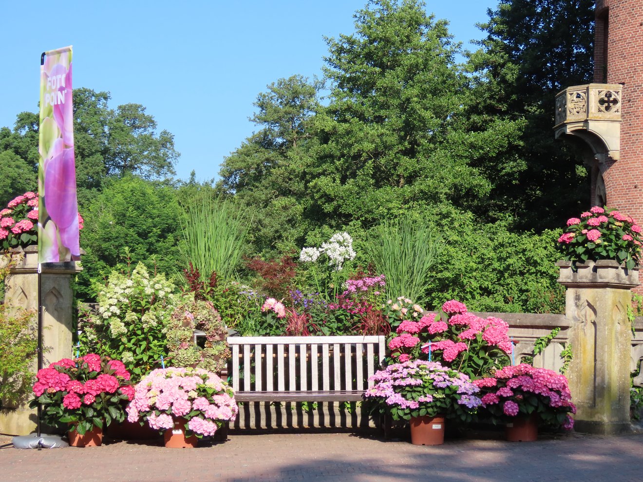 Gartenbank umrahmt von Hortensiern