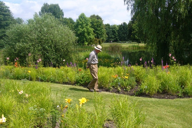 Taglilien-Erbe des Züchters Dr. Tomas Tamberg im Britzer Garten Berlin Eine Person auf dem Rasen im Britzer Garten Berlin mit Blick auf die Taglilien
