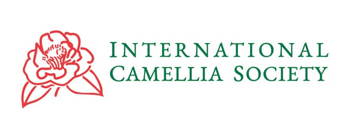 Schriftzug International Camellia Society