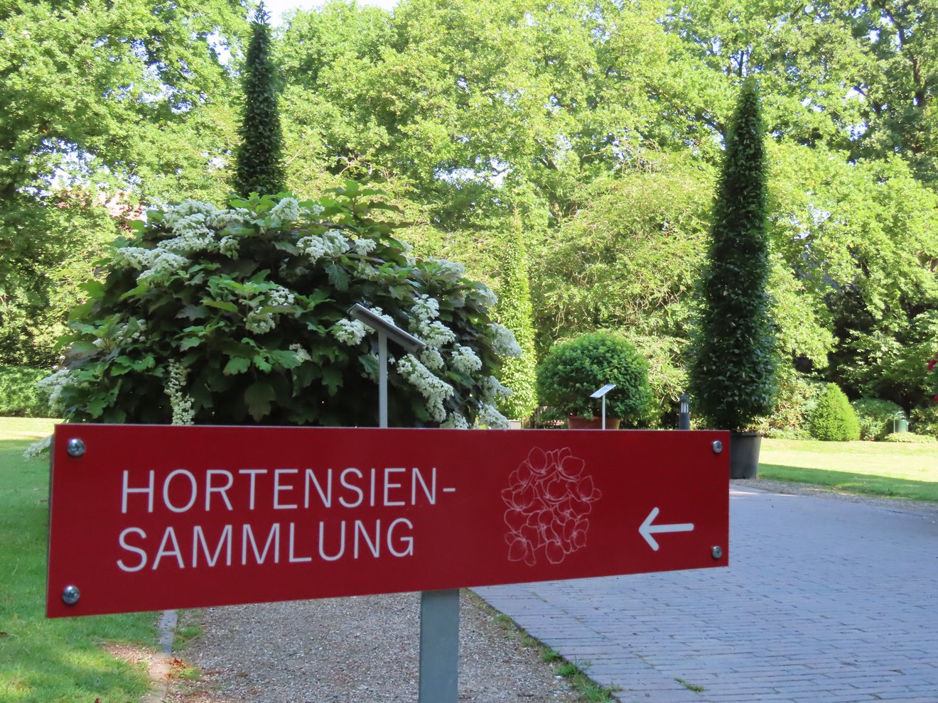Wegweiser zur Hortensiensammlung