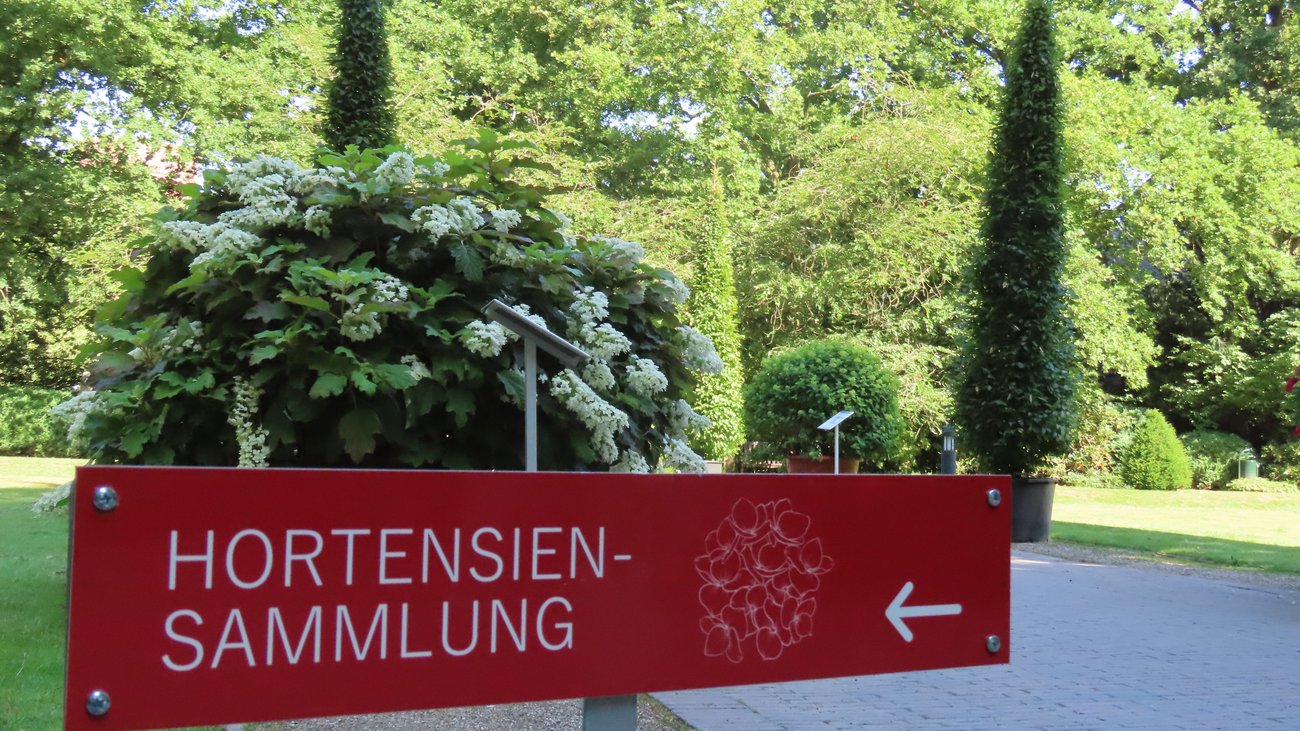 Wegweiser zur Hortensiensammlung