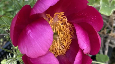 Slider Bild 5 Vorschau