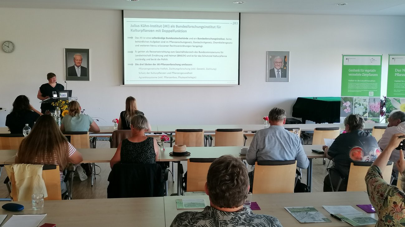 Blick auf die Leinwand mit Pr&auml;sentation