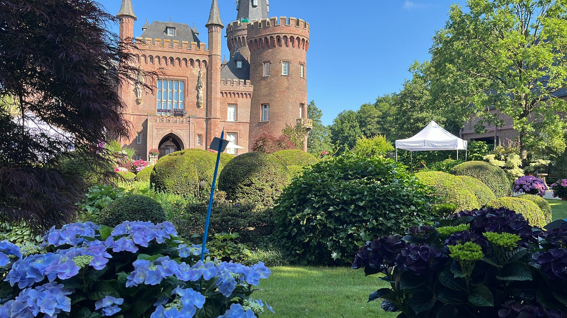 Schloss mit Hortensien im Vordergrund