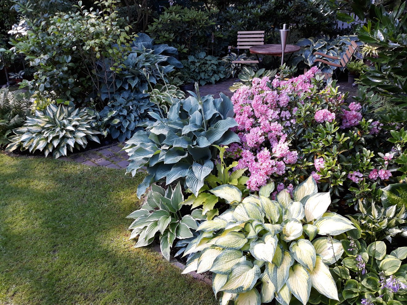 Pflanzen am Rand eines Gartenteiches