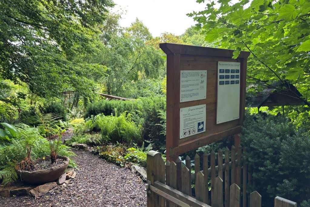 Farngarten Schlangenbad Blick auf Eingangsschild und Farnpflanzen im Farngarten
