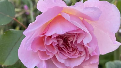 Slider Bild 11 Vorschau
