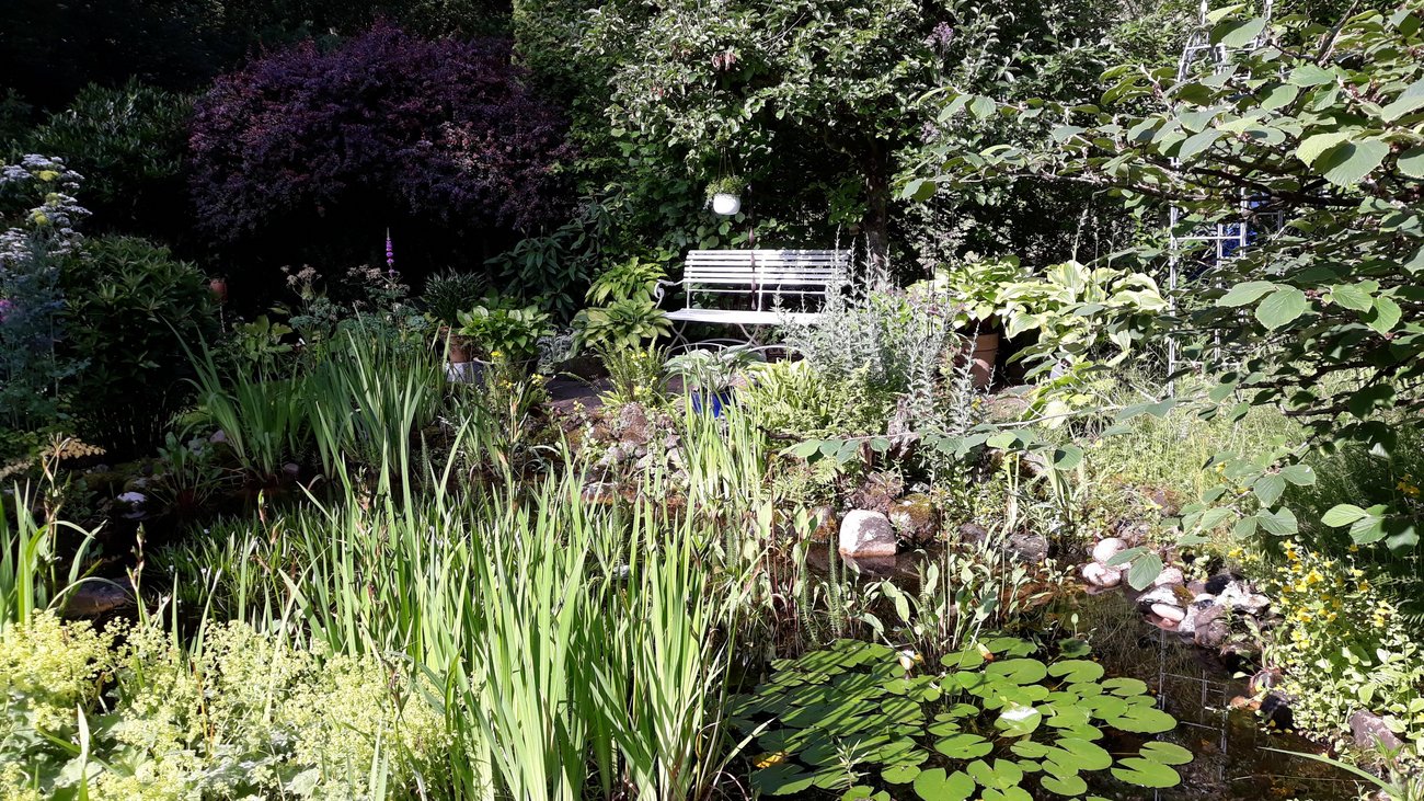 begr&uuml;nter Gartenteich mit Bank 