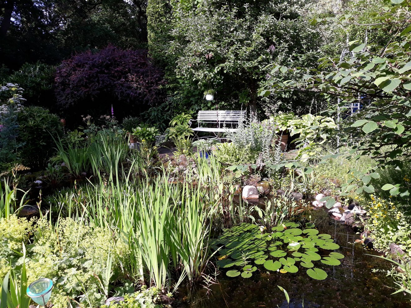 begr&uuml;nter Gartenteich mit Bank 