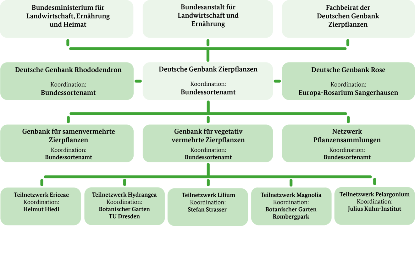 Organigramm der DGZ
