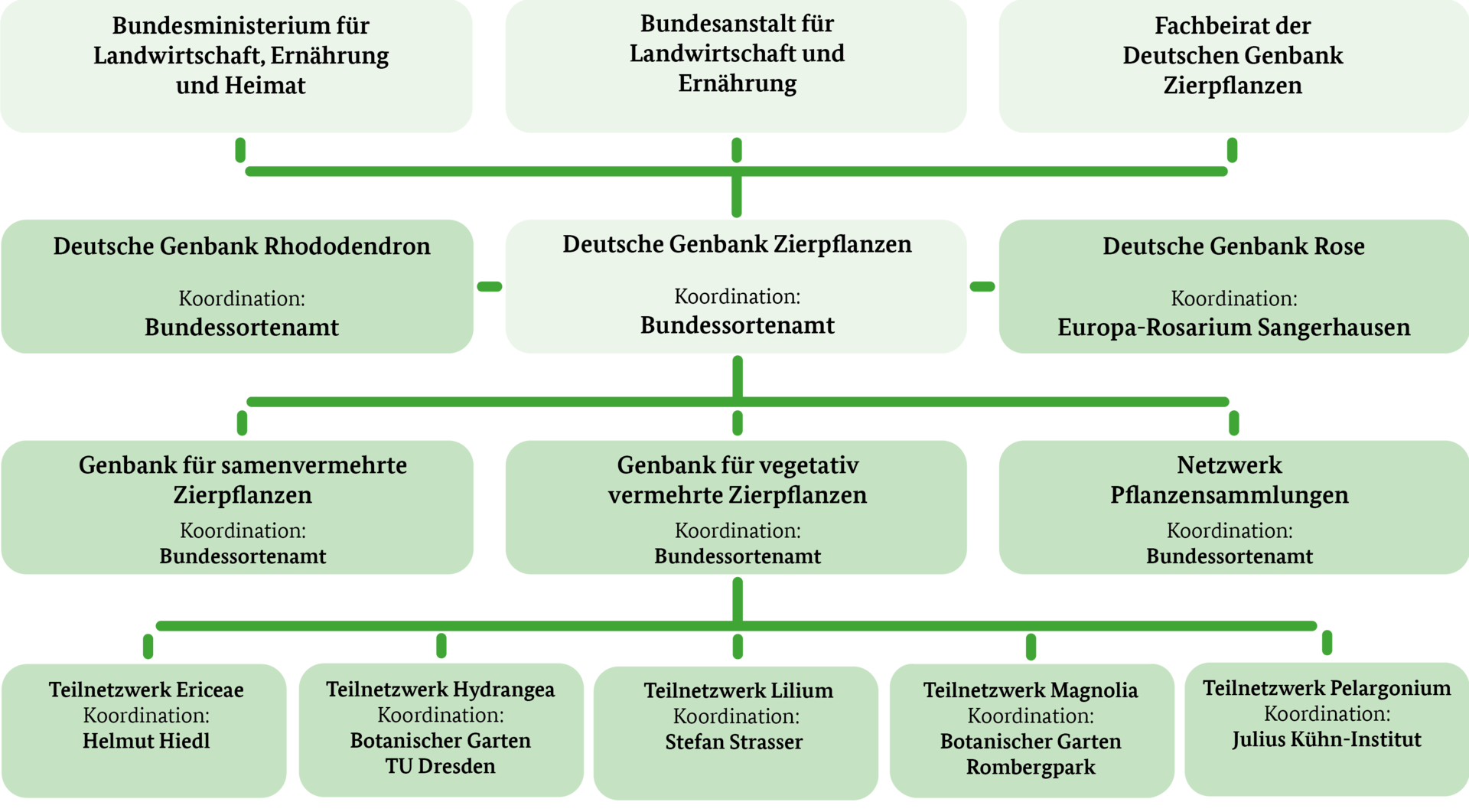 Organigramm der DGZ