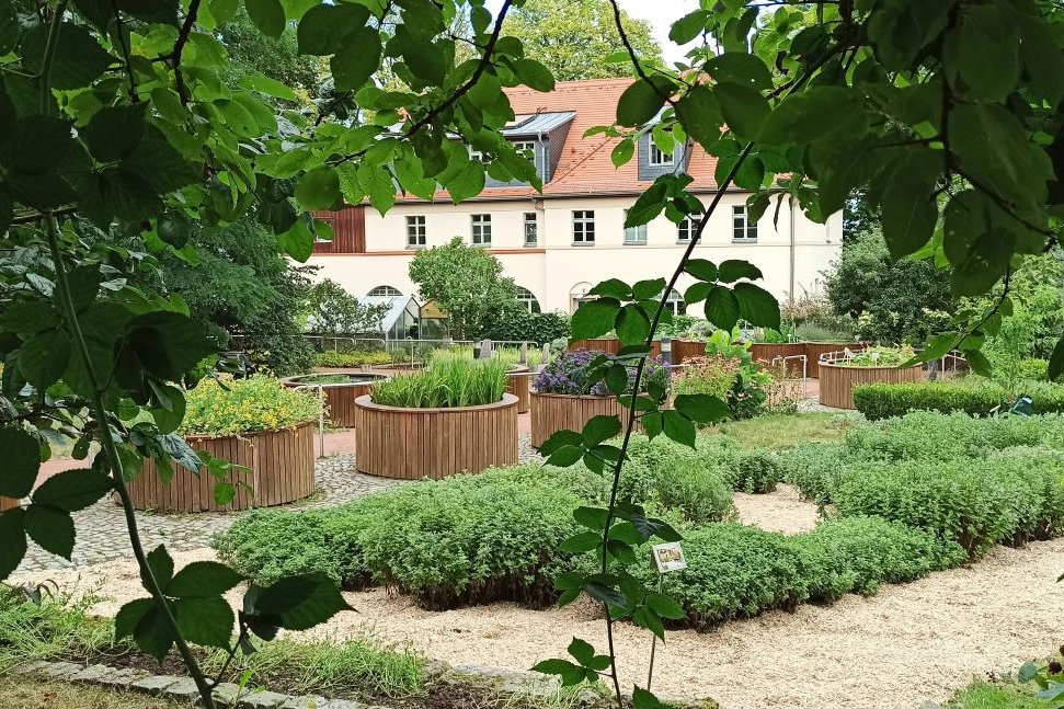 Duftpflanzen-Sammlungen im Botanischen Blindengarten Radeberg Blick auf verschiedene Pflanzen in Beeten und Hochbeeten