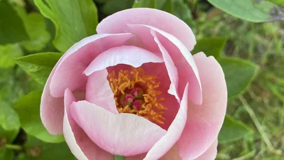 Slider Bild 4 Vorschau