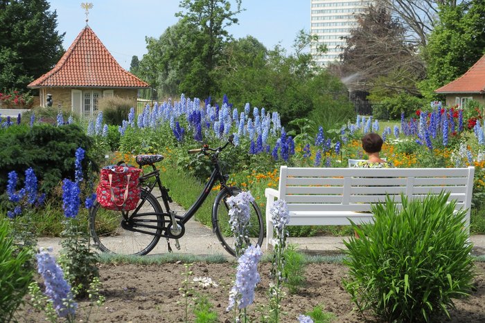 Rittersporn-Beete und Weg mit Fahrrad und Gartenbank