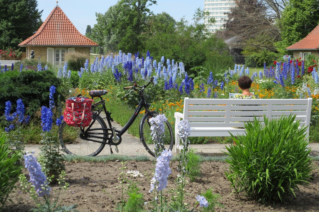 Rittersporn-Sammlung Freundschaftsinsel Rittersporn-Beete und Weg mit Fahrrad und Gartenbank