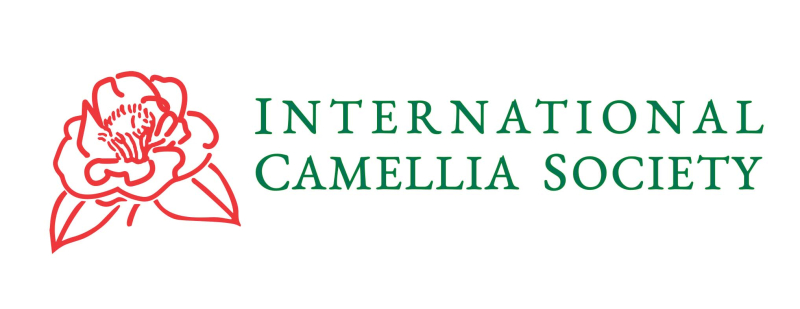 Schriftzug International Camellia Society