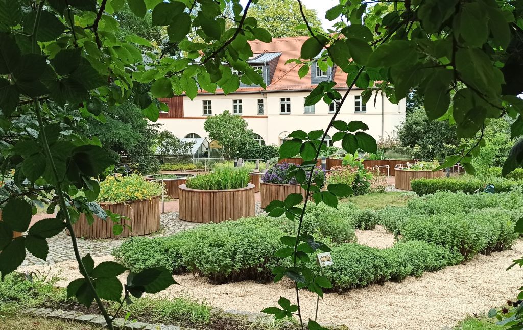 Duftpflanzen-Sammlungen im Botanischen Blindengarten Radeberg Blick auf verschiedene Pflanzen in Beeten und Hochbeeten