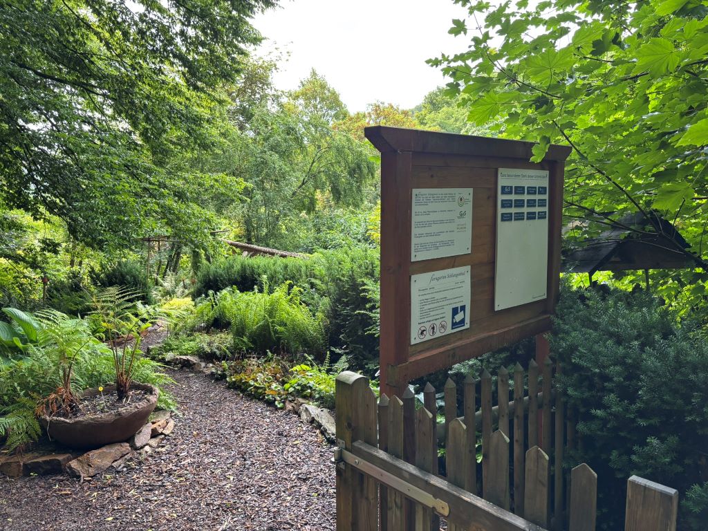 Farngarten Schlangenbad Blick auf Eingangsschild und Farnpflanzen im Farngarten