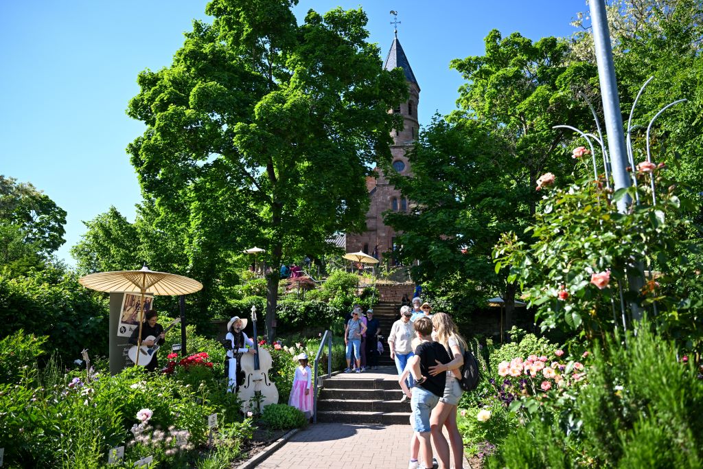 Lorscher Pfingstrosengarten Personen und Pflanzen im Lorscher Pfingstrosengarten